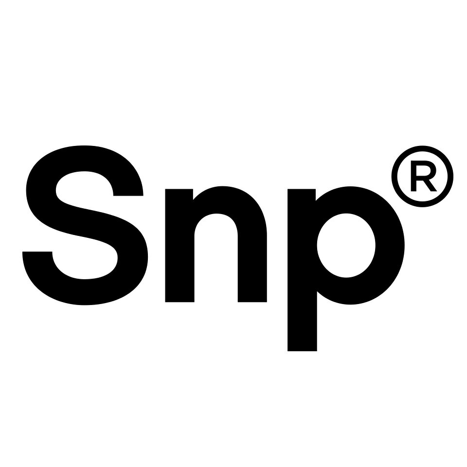 Snp 公式