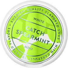 キャッチ　スペアミント　ミニ　ホワイトドライ　10g　Catch Spearmint Mini White Dry