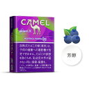 international delivery available 100Sticks Camel Menthol Purple Ploom X