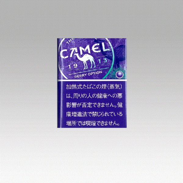 スヌースは、到着してのお楽しみ。 スヌースは、プルームエス充電待ちの時にご利用ください。 スヌースは、禁煙区域内でニコチンをとるタバコです。 snusの使い方は、you tube でご覧ください。動画がたくさんあります。　