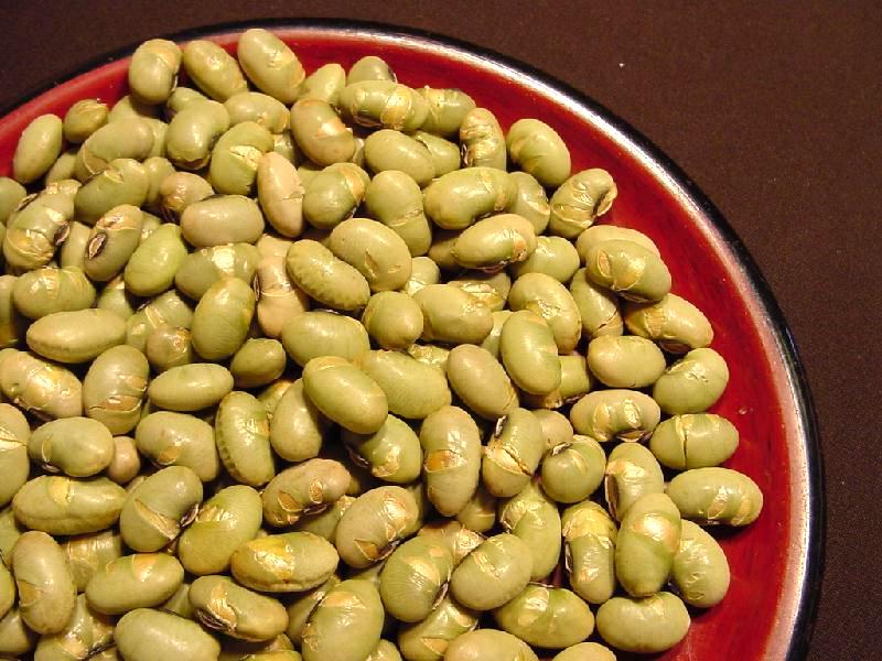 ��ʬ��Ʀ�ޤ�����Ʀ�ۥ��٥�� £��ʪ �֤�Ʀ ���ϳ� ʡ���� ���ˤ� ��Ʀ ���ե� �������� �ѡ��ƥ��� ���ڻ� £���� �Ż�