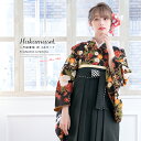 袴セット 卒業式 大人 大学生 レディース 女性 袴 小学生 ヒロミチナカノ 黒 桜 菊 花 雪輪 袴4点セット 購入 販売 送料無料