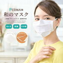 全品対象☆最大1000円クーポン配布中☆10/21まで マスク 日本製 高機能フィルター ノーズワイヤー 洗える プリーツ 花粉 繰り返し 白 メール便対応 送料無料 MoP