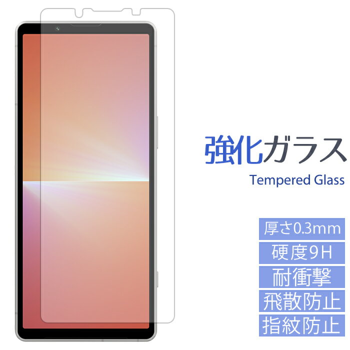 【セール】XPERIA 5 V SO-53D SOG12 XQ-DE44 