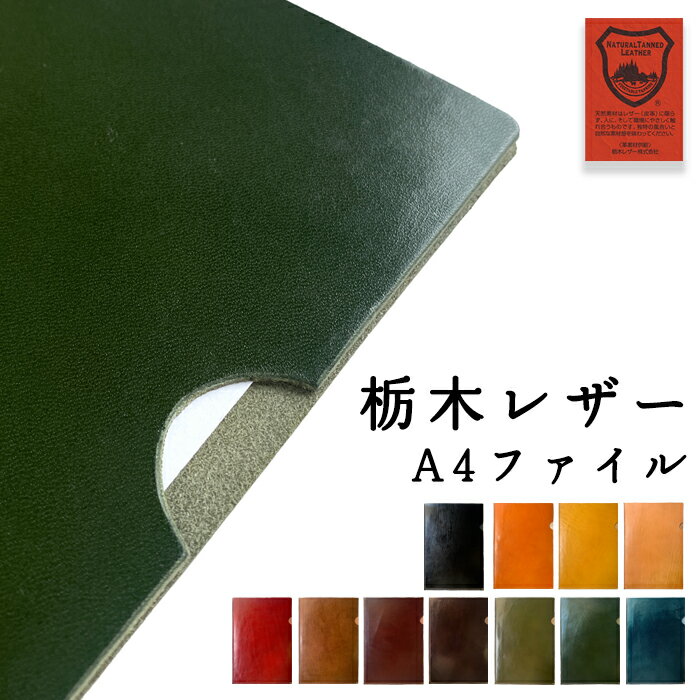 쥶ե ܳ ڥ쥶 A4ե ե 쥶  ե ӥͥå ơʥ꡼   ץ Ǽ ...