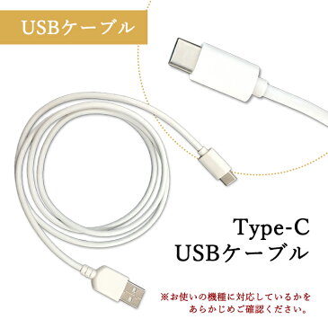 カーチャージャー 車載充電器 2連 2ポート 2口 3.1A type-C type-B micro ucb android USBケーブル 2本付 急速充電 充電器 スマホ タブレット 充電ケーブル シガーソケット 車 LED ライト 充電 DC12V DC24V アンドロイド