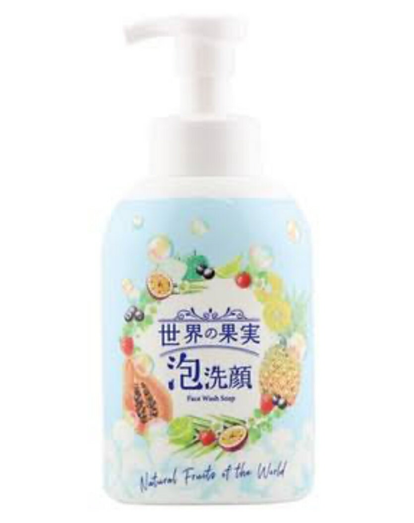 世界の果実 すっきり泡洗顔 500mL