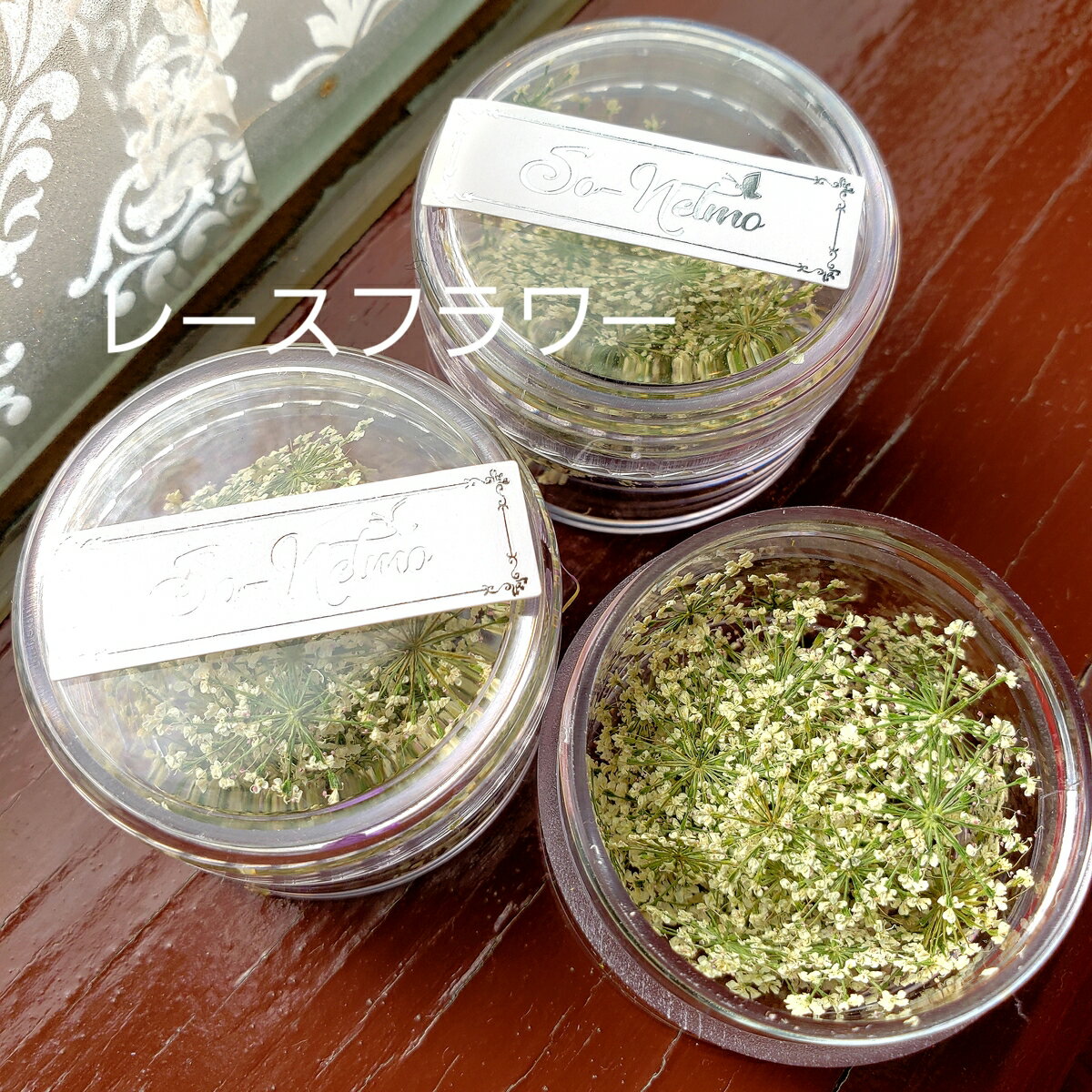 �ߥ⥶ �ɥ饤�ե� ���۲� �졼���ե� ��å����ե� �ֺ� �����ɥ� �ܥ��˥��� �ץ쥼��� ���ͥȥ� �ɥ饤�ե� �����ޥ�å����С� ������ �����ɥ�ۥ���� �����륭���ɥ� ���󥹥��Ǥ� ���������� �������å� �ץꥶ���֥ɥե�