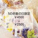 お買い物マラソン 花材 詰め合わせ 数量限定 福袋 プリザーブドフラワー ドライフラワー プレゼント ハンドメイド 即日発送 【ポイント20倍!!】ミモザ