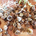 松ぼっくり 木の実 アロマワックスバー キット ボタニカルサシェ ハーバリウム用 花材 プチギフト ハンドメイド 手作りキット まつぼっくり パインコーン ミックス【スーパーセール】