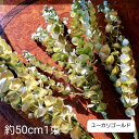 ユーカリ ドライフラワー ゴールド リース ハンドメイド おうち時間 プレゼント ハーバリウム アロマワックスバー So-netmo農園栽培 完全無農薬 【即日発送】