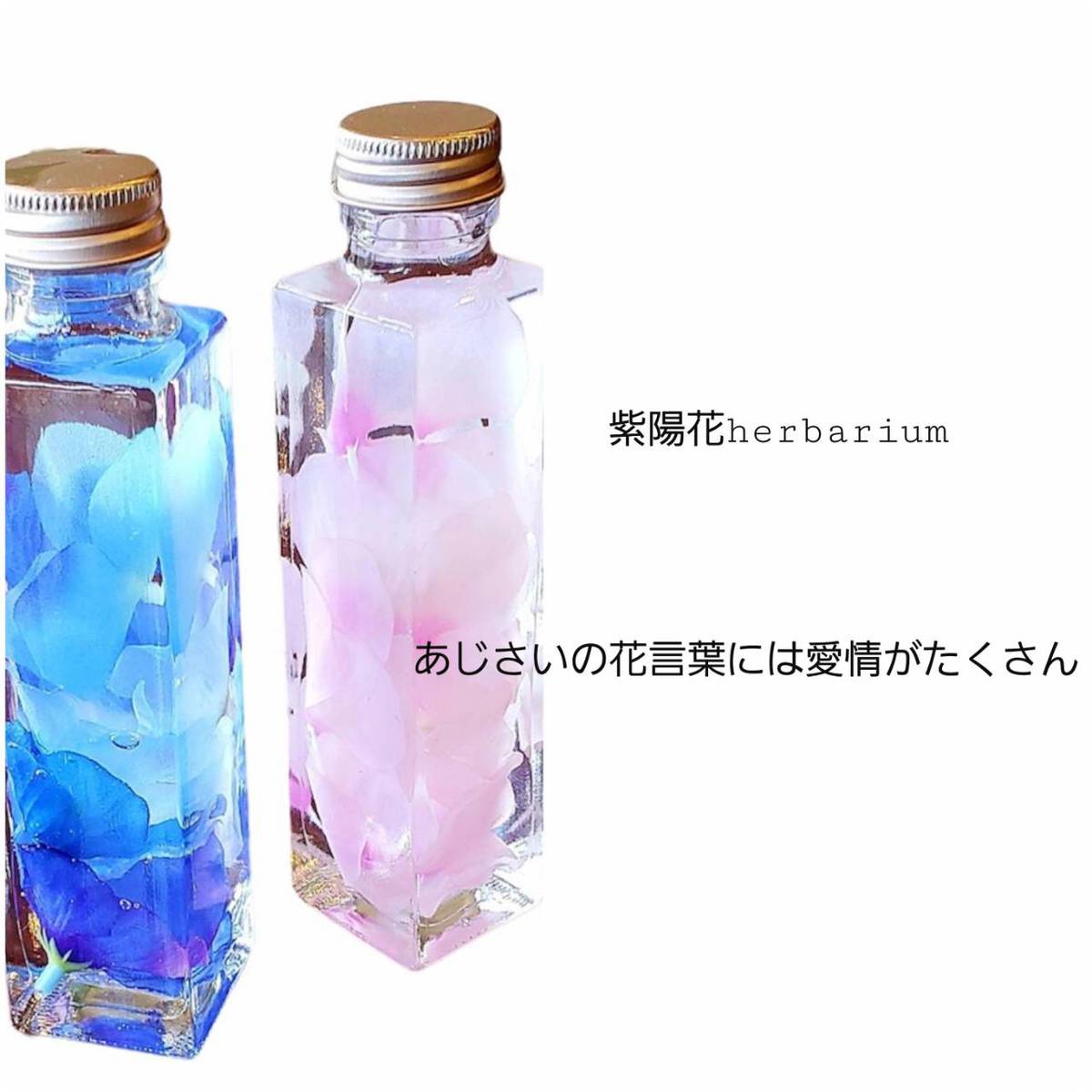 贈り物 ハーバリウムプリザーブドフラワー 松ぼっくり 可愛い おしゃれ インテリア お供え 仏花 お見舞い お祝い 御礼 誕生日 プレゼント フラワーギフト ギフト 母の日 母の日 ギフト 即日発送
