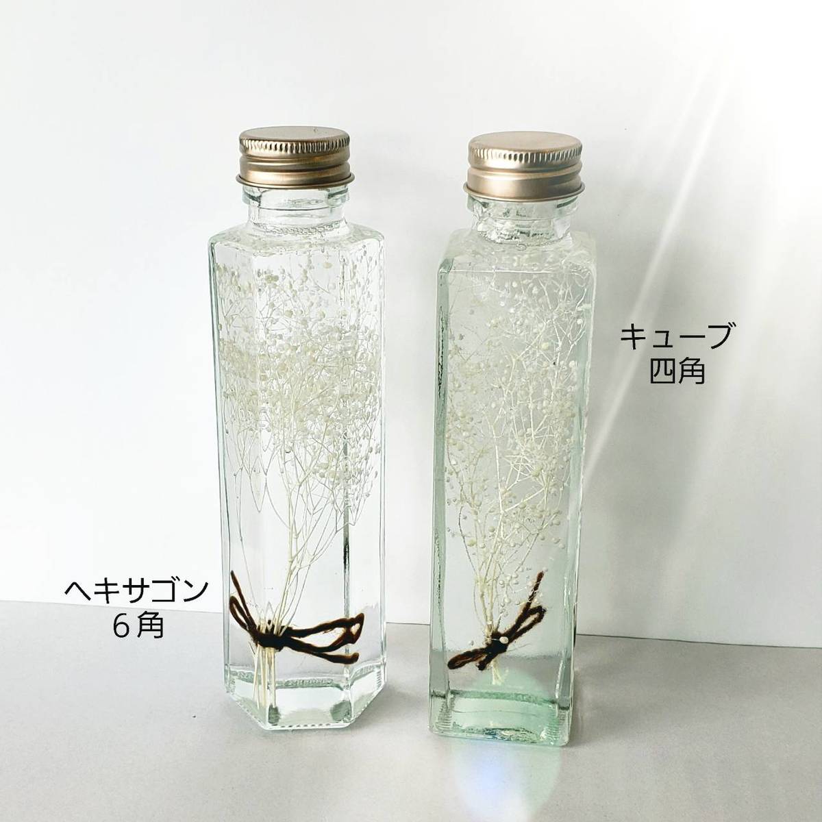 ¨��ȯ�� �ե����ե� �ϡ��Хꥦ�� ���٤� �ץꥶ���֥ɥե� ���ܤä��� �İ��� ������� ����ƥꥢ ������ ʩ�� ������ ���ˤ� ���� ���������� �������� �����ߥ����� �ݥץ� �ԥ� �ѡ��ץ� �֥롼 �֥��ե� ������ £��ʪ �ץ쥼��� ���ե�