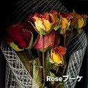 バラ ミックスセットドライブーケ 約25cmドライフラワー ブーケ 花束 花材 花 フラワー ハンドメイド 無農薬 オーガニック 安全 スワッグ オーガニック ...