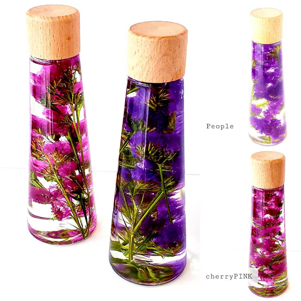 �ߥ⥶ �ץ쥼��� �� �ե� �ϡ��Хꥦ�� �ϡ��Х�塼�� �İ��� ������� ����ƥꥢ ������ ���ˤ� ���� ������ £��ʪ �ե����ե� ���ե� ¨��ȯ�� �ۥ磻�ȥǡ� ���� ´�� �����