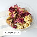 おうち時間 ハーバリウム 花材セット 花材 キャンドル ボタニカル 誕生日 おしゃれ プレゼント ソネトモ プリザーブドフラワー ドライフラワー アロマワックスバー サシェ ローズ バラ【即日発送】