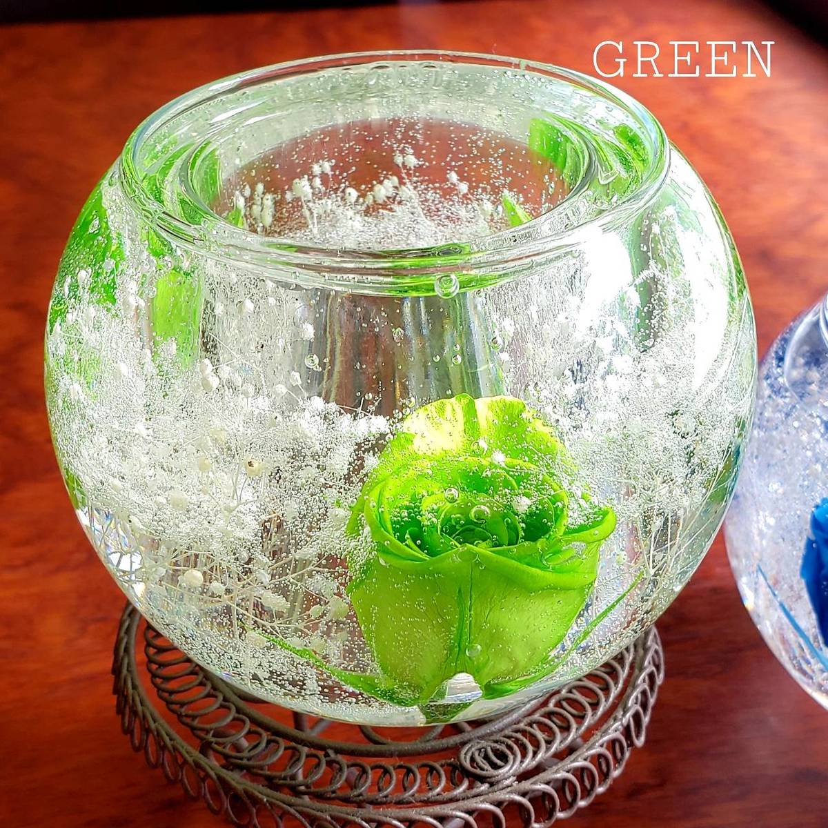 �����ɥ�ۥ���� ���饹 ���� ������ �����ɥ륹����� �� ��������Ω�� �����ǥ��� �뺧�� ��󥿥� ������� ʩ�� �ϡ��Хꥦ�� ���ե� �ץ쥼��� ���� ������ ����� ���ե� �ץ쥼��ȡ�¨��ȯ���ۡڥ�åԥ󥰺Ѥߡ�