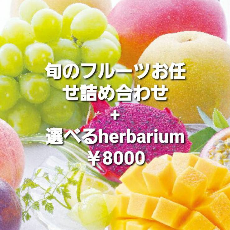 果物　プレゼント　お供え　果物フルーツセット 水菓子　fruits kudamonoプレゼントお供え お見舞い 果物 くだもの 水果 fruit ハーバリウム 1