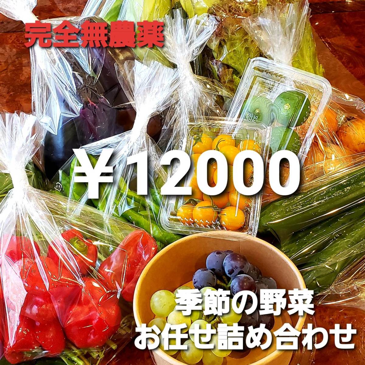 無農薬野菜 野菜 広島県産 こだわり栽培