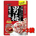 大森屋 男梅混ぜご飯 25g×3袋【送料無料】