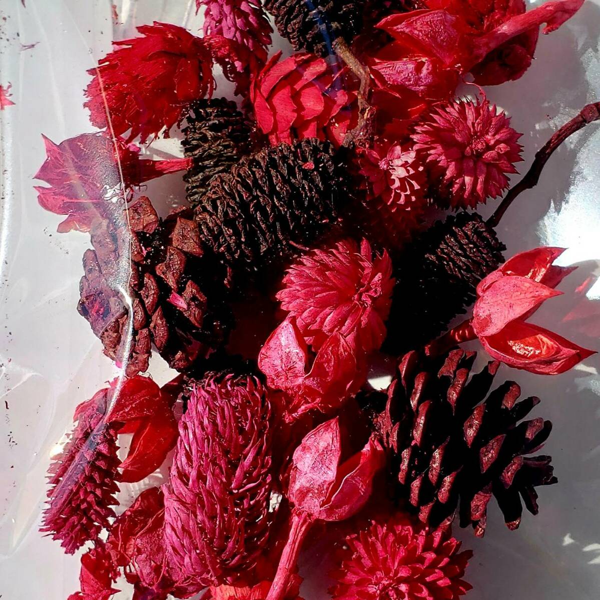 松ぼっくり 木の実 アロマワックスバー キット ボタニカルサシェ　ハーバリウム用 ...