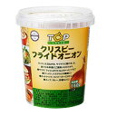 クリスピーフライドオニオン 150g 業務用 備蓄品 食堂 レストラン アウトドア キャンプ 災害 ストック 保存