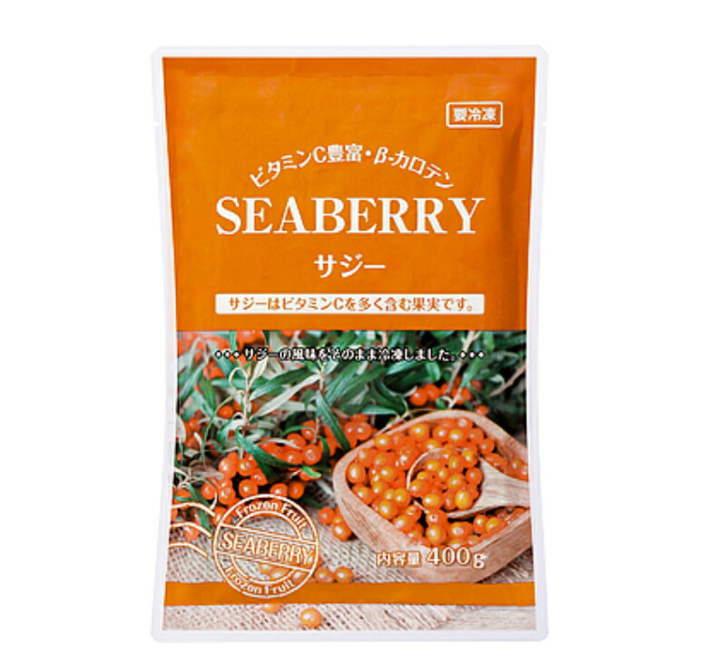 冷凍サジー(冷凍果実) 1袋400g 健康 【業務】