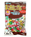 オールシーズン チョコレート 300g 駄菓子!チョコ!夏でもとけにくいチョコレート!【プロ】(4)