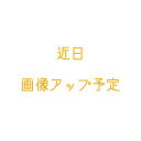 和柄布貼箱せんべいモチーフ ピンバッジセット パークフードデザイン ディズニー グッズ お土産【東京ディズニーリゾート限定】