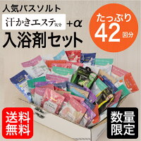 入浴剤 詰め合わせ 人気入浴剤を集めたギフトセット 42個入 送料無料｜汗かきエステ気分 ENERG 天使のバスパウダー 福袋 詰合せ エプソムソルト birth day バース デイ プレゼント ギフト SNSで話題リラックス 乾燥肌 腰痛 肩こり 冷え症 薬用 お風呂 退職祝い