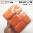 薬用石鹸【臨時発売】薬用 手洗い 石鹸 100g×5個入[メール便でお届け]｜感染予防は手洗い ハンドソープ の代わりに 薬用石鹸 殺菌