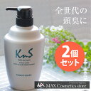 【 KnS 】スカルプコンディショナー 500mLボトル 2本セット メンズ | 加齢臭 かきのさち 柿渋 臭い 柿 スカルプケア 薬用 スカルプ 男性 消臭 コンディショナー 頭皮ケア 乾燥 男性用 かゆみ フケ 保湿 医薬部外品 地肌 クレンジング 地肌ケア 頭皮クレンジング