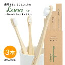 竹から生まれた歯ブラシ 山陽物産【LUNA - ルナ - 】 竹歯ブラシ 3本 セット ハブラシ 箱入 エコ歯ブラシ エコ活動 eco BPAフリー 先細毛 ふつう 大人用 生分解性 脱プラ SDGs サステナブル 軽い フラット面 無塗装