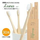 竹から生まれた歯ブラシ 【LUNA - ルナ - 】 竹ハブラシ 30本 セット 箱入り エコ歯ブラシ エコ活動 BPAフリー 使いやすい まとめ買い シンプル ふつう サイズ 先細毛 大人用 生分解性 脱プラ SDGs サステナブル 軽い 自然由来 フラット面 無塗装 3本× 10箱10本入り eco