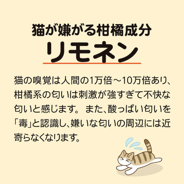 ǭ�Х��Х� 150g��2�� ŷ���ҥȥ� ����� ���� �� �ҥȥǴ����� γ�� ���������� ���ݥ˥� ���ͥ� ����ǭ �ͥ� �ͤ� ǭ �ޥ�󥹥��� ���� ���� ��γ