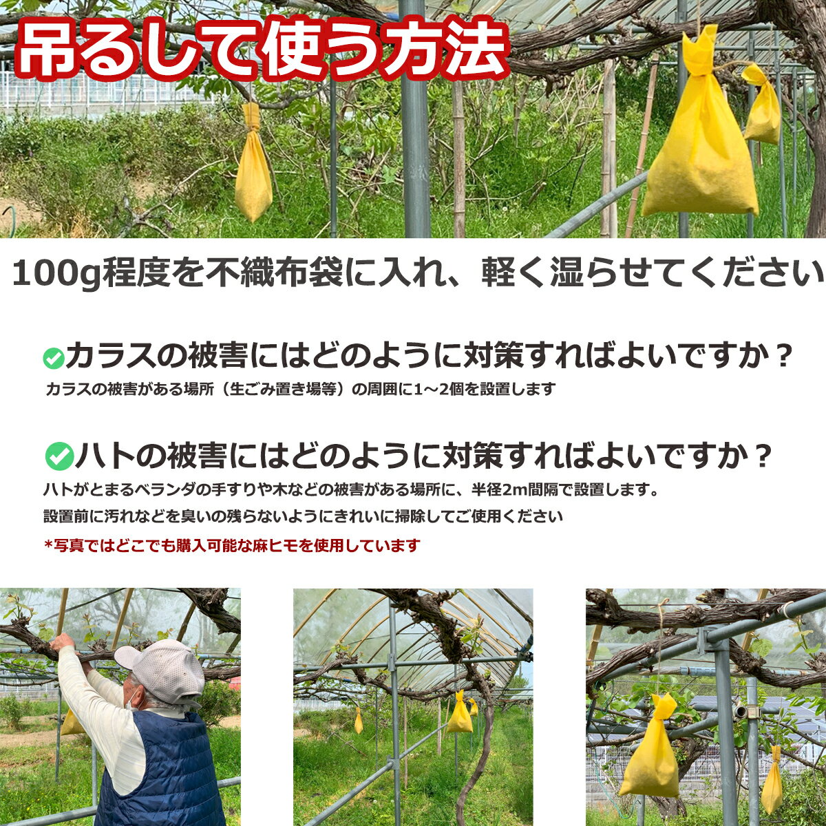 ͭ��JASǧ�� �ҥȥ� ����� 300g 100g��3������ ��ʬ�� ���� ��� ưʪ����� ���饹 �ͥ��ߤʤɷ��� ��ʬ�� ������ ���� �����ɻ� ���������饹 ȷ �ϥ� �ͥ��� ���饹�褱 �ϥȤ褱 ��褱 ���դ��ʤ� �ߤ뤹���饹�褱 ȷ�褱 �����֤��� ������ ������ �������˥å�