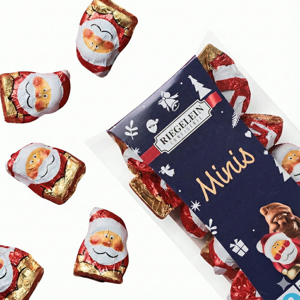 カルディ リゲライン クリスマス サンタプラボックスチョコレート 100g ギフト プレゼント チョコ 子供..
