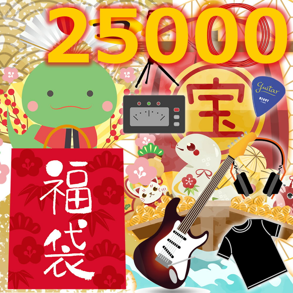 新年の運試し！ 2025 ギタリスト向け 福袋 竹コース 楽器屋 楽器店 の 福袋のサムネイル