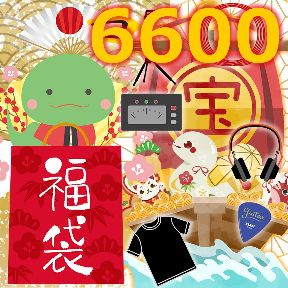 新年の運試し！ 2025 ベーシスト＆ギタリスト 向け 福袋 楽器屋 楽器店 の 福袋のサムネイル