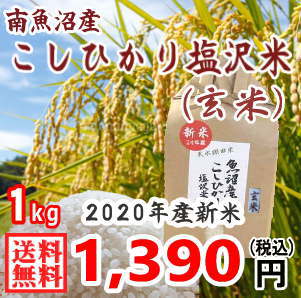 魚沼産コシヒカリ 1kg 玄米 送料無料 特A米 令和2年産 新米 コシヒカリ 産地直送 新潟 塩沢米 一等米