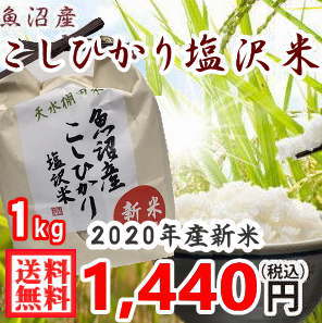 魚沼産コシヒカリ 1kg 精米 送料無料 特A米 令和2年産 新米 白米 コシヒカリ 産地直送 新潟 塩沢米 一等米 ギフト