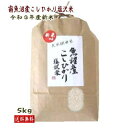 魚沼産コシヒカリ 5kg 精米 送料無料 特A米 令和3年産 新米 白米 コシヒカリ 新潟 塩沢米 贈答 一等米 ギフト