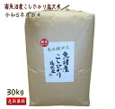 南魚沼産 コシヒカリ 30kg 精米 徳用 送料無料 特A米 令和5年産 新米 白米 こしひかり 新潟 魚沼産 塩沢米 一等米