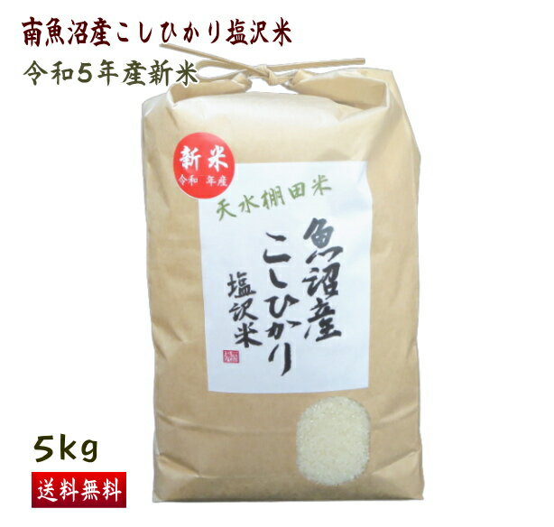 南魚沼産 コシヒカリ 5kg 精米 送料無料 特A米 令和5年産 新米 白米 こしひかり 新潟 魚沼産 塩沢米 贈答 一等米 ギフト