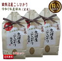 南魚沼産 コシヒカリ 1kg 3袋セット 玄米 塩沢米 産地直送 送料無料 特A米 令和7年産 新米 こしひかり 新潟 魚沼産 一等米