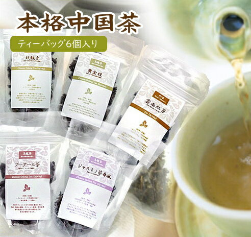 中国茶 テトラパック 6個入り 1袋 普