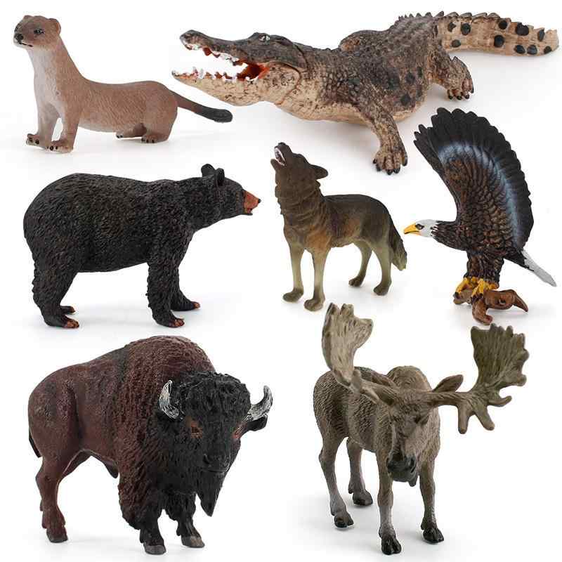 ・素材: PVC・カテゴリ: 動植物模型・種類: コヨーテ、エルク、ハクトウワシ、アメリカバイソン、アメリカグマ、カワウソ、ヨウスコウワニ・対象年齢: 7〜14歳