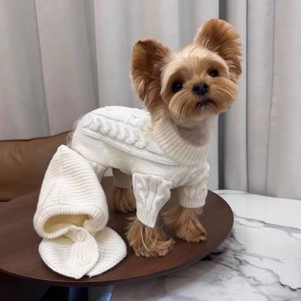 犬用帽子 小型犬 ペット用 ヨークシャテリア ビションフリーゼ トイプードル ポメラニアン チワワ 冬 防寒 あったか ニット帽 キャップ ハット かわいい おしゃれ お散歩 お出かけ 頭部保護 ホワイト ブラウン 茶色