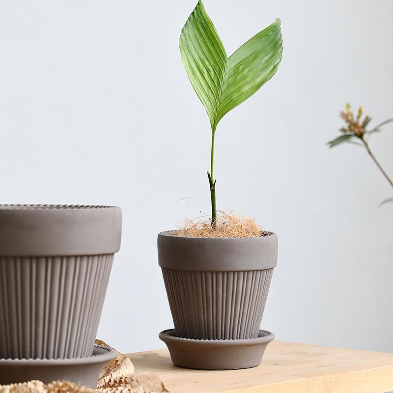 Other - フラワーポット 北欧風 セメント製 緑の植物用 デスクトップタイプ 通気性 トレイ付き 耐久性 変形しにくい 頑丈 リビング オフィス ホテル インテリア ブラック ダークブラウン