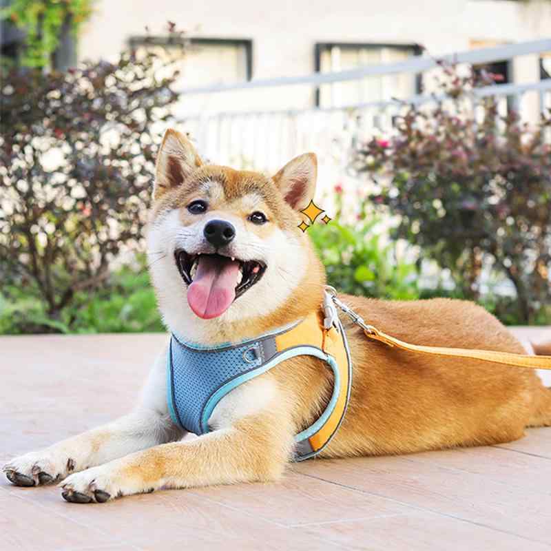 ハーネス 猫 犬兼用 反光 反射テープ付き 快適 通気性 スエード調 メッシュ ベスト型 抜けにくい リード セット